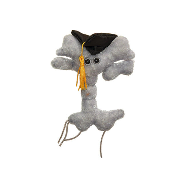 2PK Giant Microbes Graduation Brain Cell Soft Stuffed Plush Toy Grey