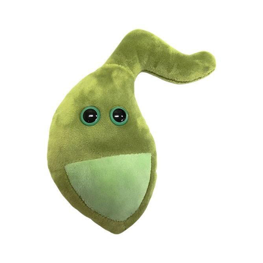 2PK Giant Microbe Gallbladder Soft Stuffed Plush Toy Green