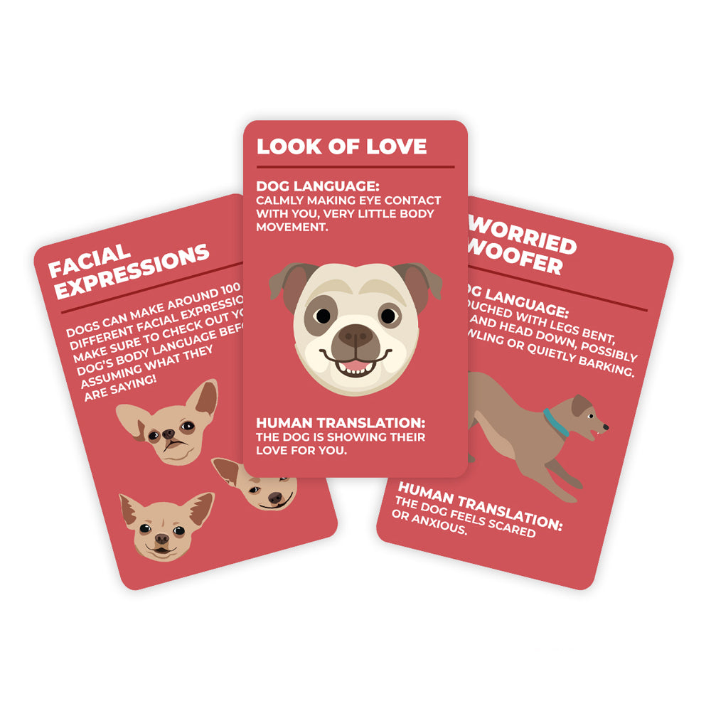 100pc Gift Republic How to Speak Dog Language Cards