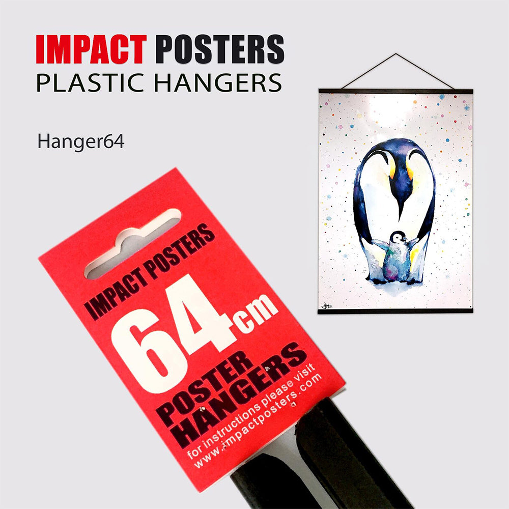 4PK Frames & Hangers Wall Art Magnetic Sleek Poster Hanger 64cm Pair