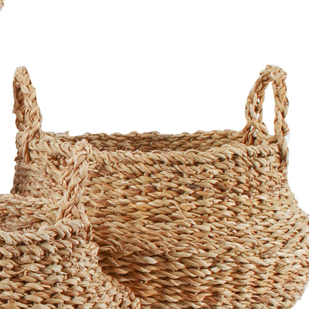 3pc Maine & Crawford Eddi 25/35/45cm Typha Belly Basket - Natural