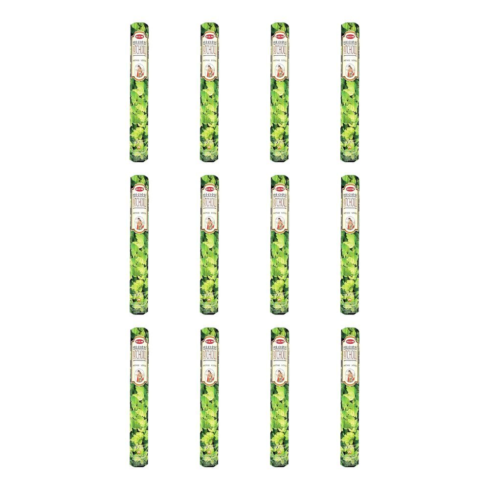 12x 20pc HEM Hexa Precious Patchouli Scent Incense Sticks Meditation Fragrance