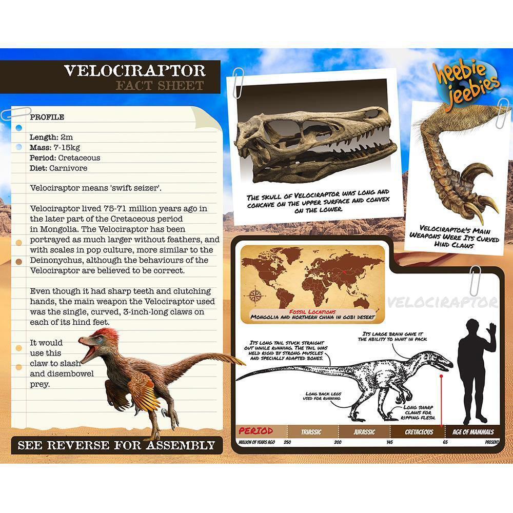 3PK Heebie Jeebies 32cm Wood Velociraptor Toy Kit Dinosaur Small 6y+