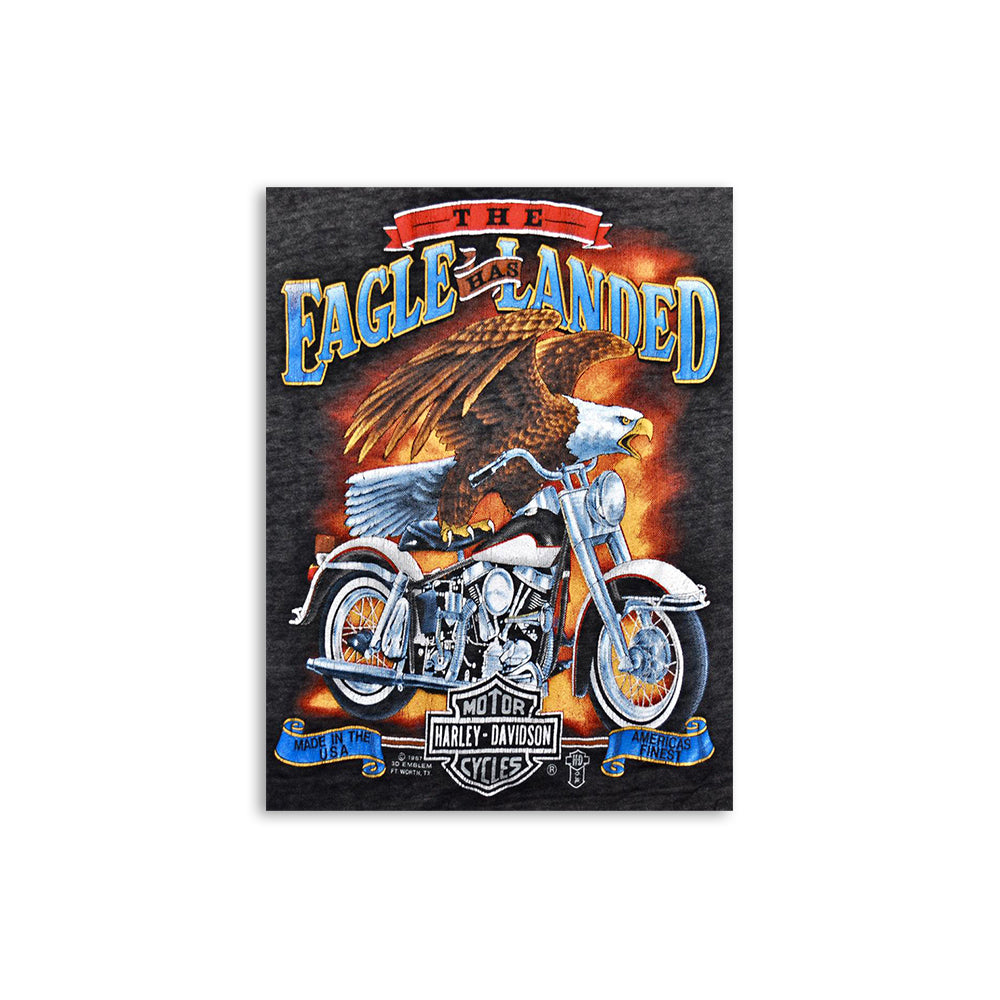 Eagle Has Landed Hanging Flat Iron Sign 30x40cm Rectangle