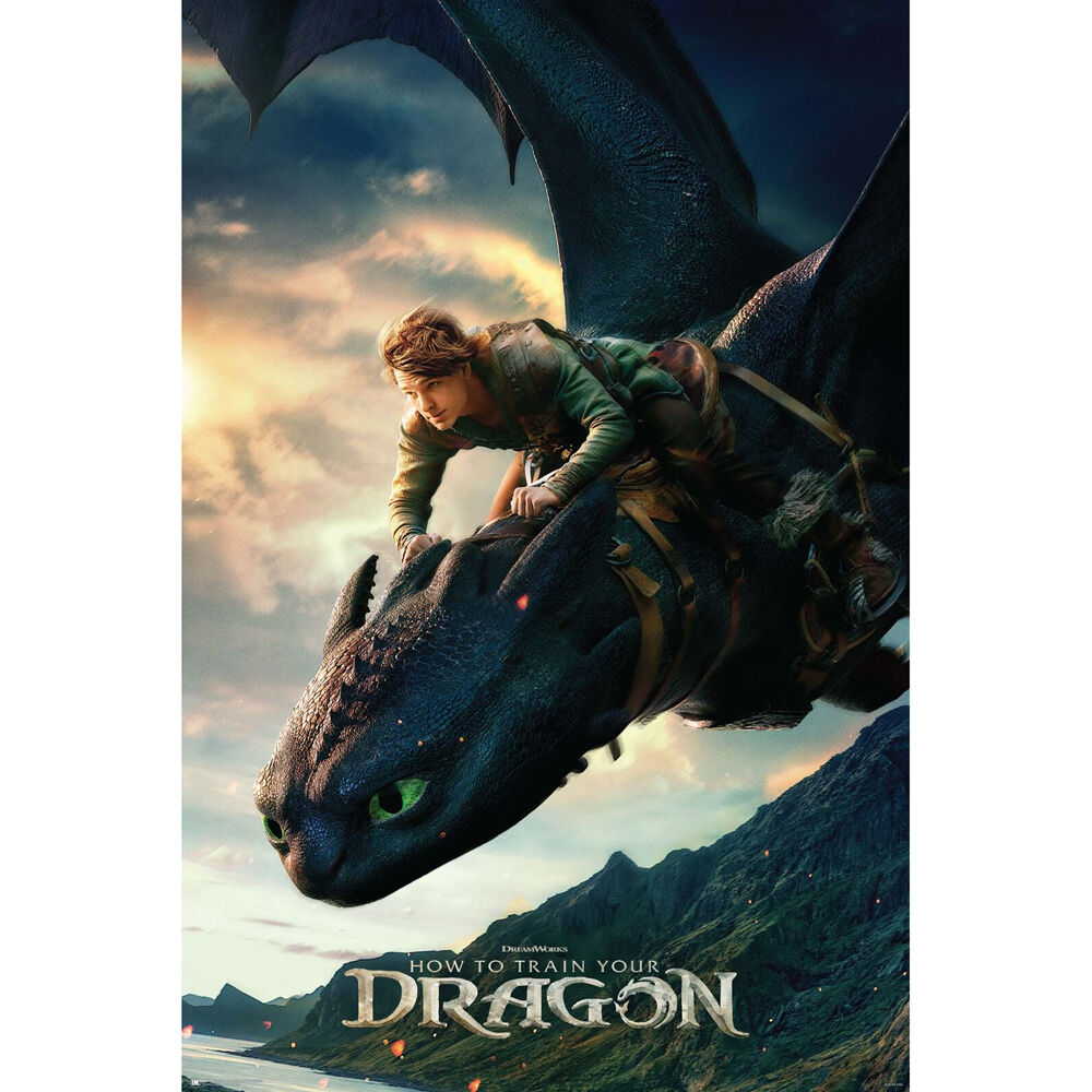 How To Train Your Dragon Live Action Regular Wall Poster/Print 61 x 91.5cm