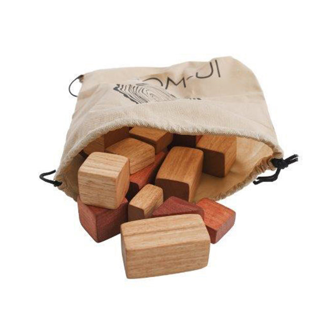 26pc In-Wood Bag of Wooden Blocks Kids/Children 3y+ Assorted