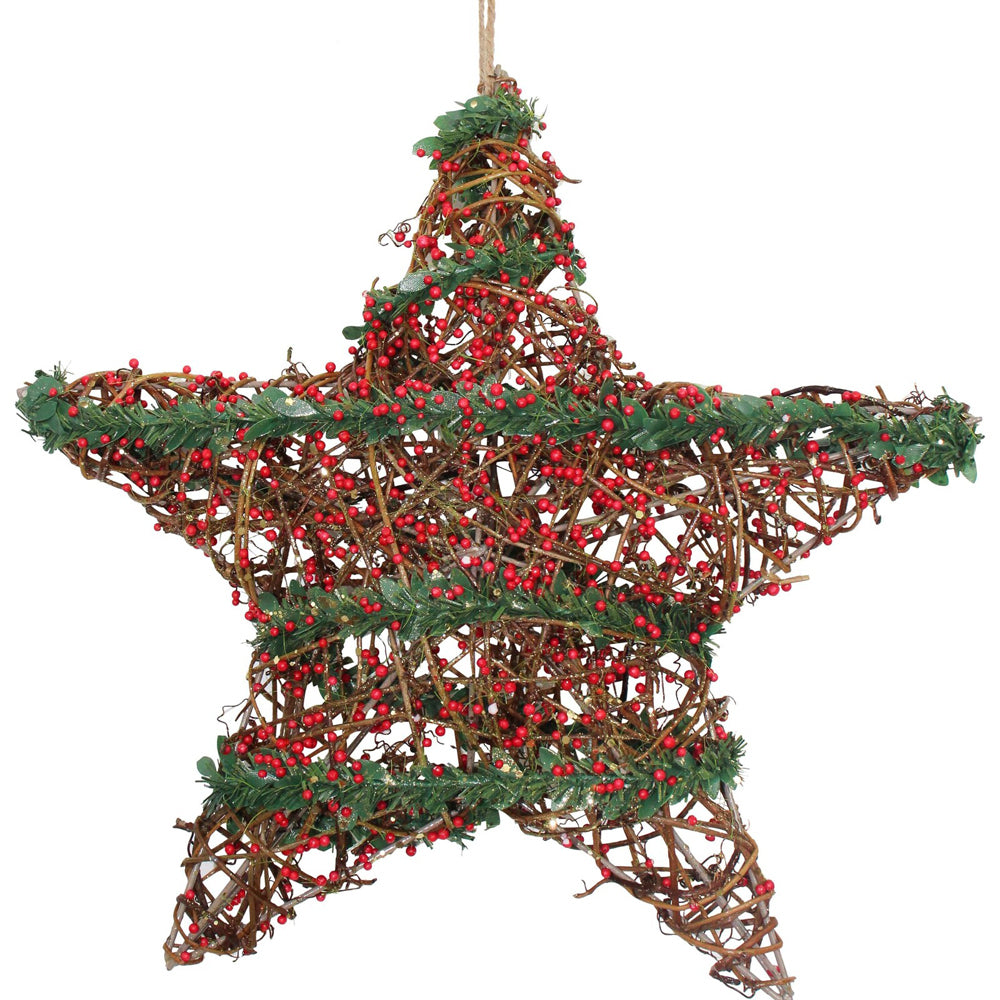 4PK LVD 30x30cm Plastic Star Berry Twigs Home/Living Room Decor