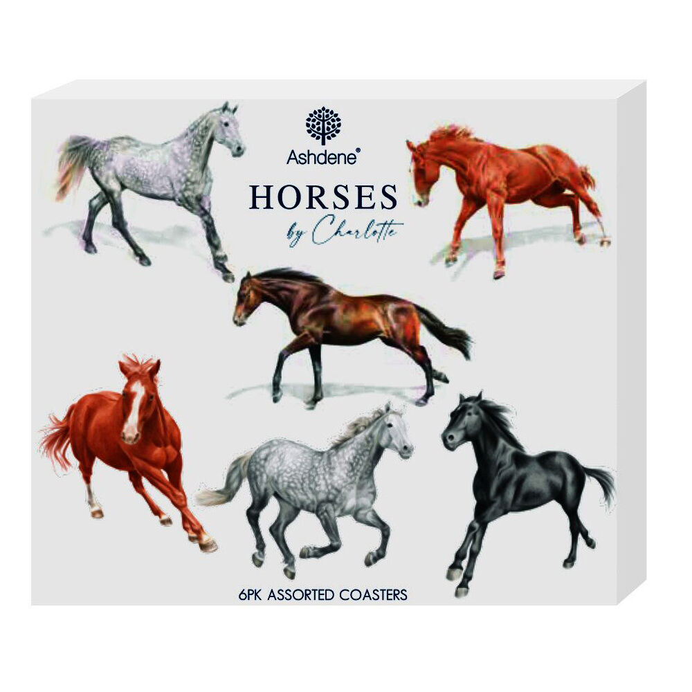 6pc Ashdene Horses By Charlotte Cup Mug Drinking Mat Coaster 11x9.7cm