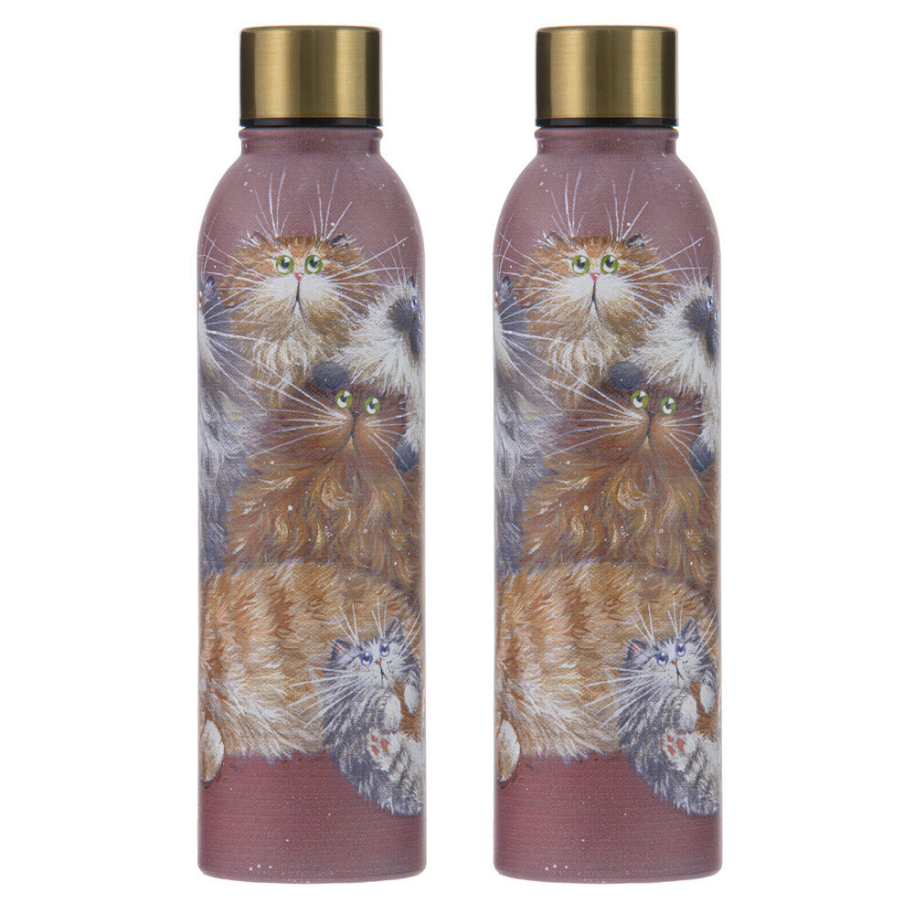 2x Ashdene Kim's Cats Friends Family Drink Bottle Water Flask 6.8x24.5cm