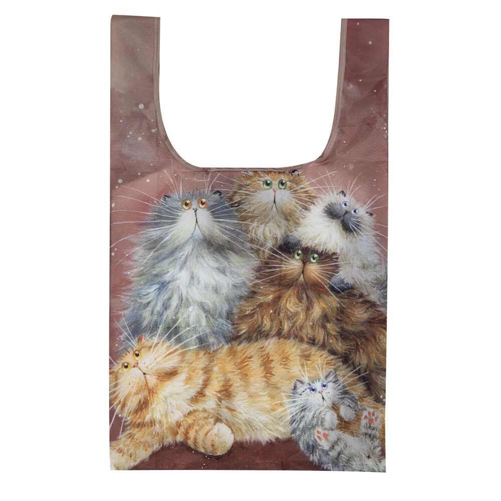2x Ashdene Reusable Kim's Cats Friends Family Grocery Storage Shopping Bag 36x64cm