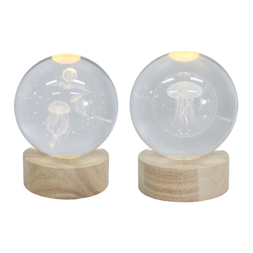 LVD Glass/MDF Jellyfish LED Ball Home Tabletop Decor Combo Set Large