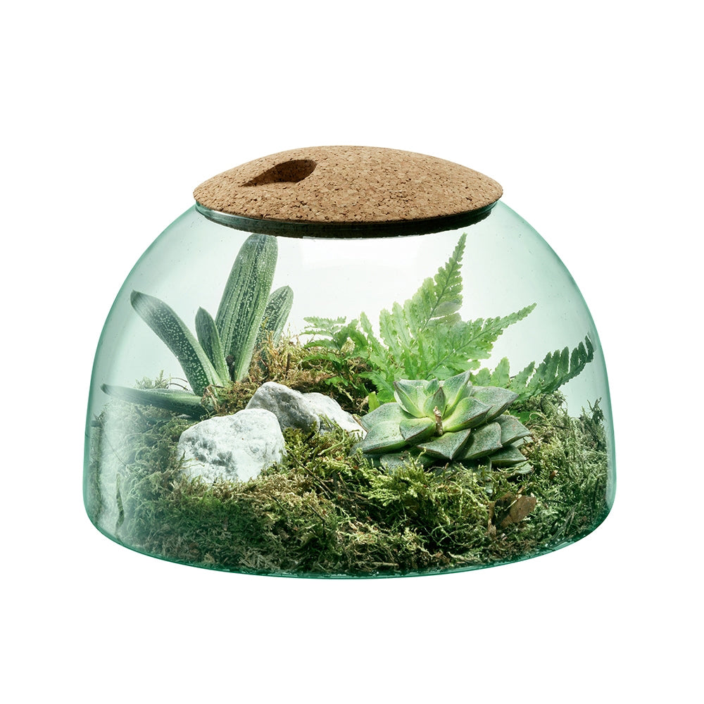 LSA International 16.5cm Canopy Closed Garden Glass Planter