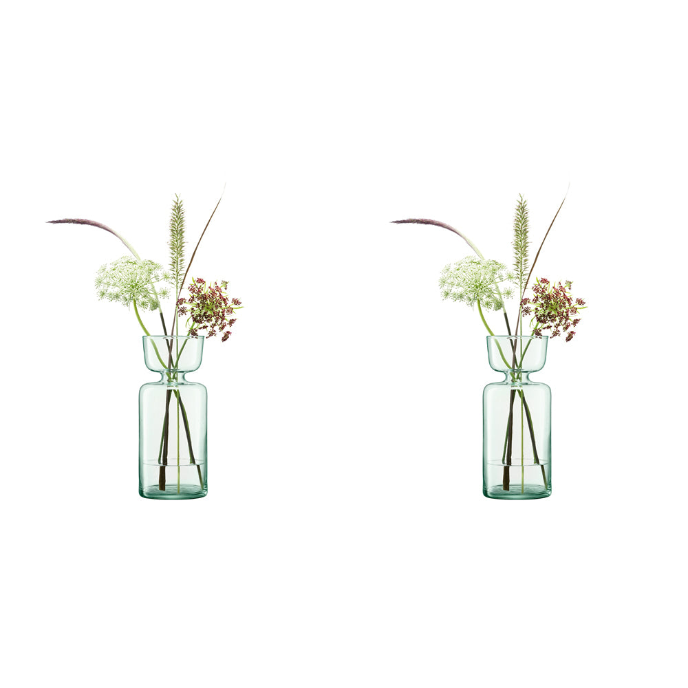 2PK LSA International Canopy Vase/Bulb Enclosed Garden Planter Clear 20cm