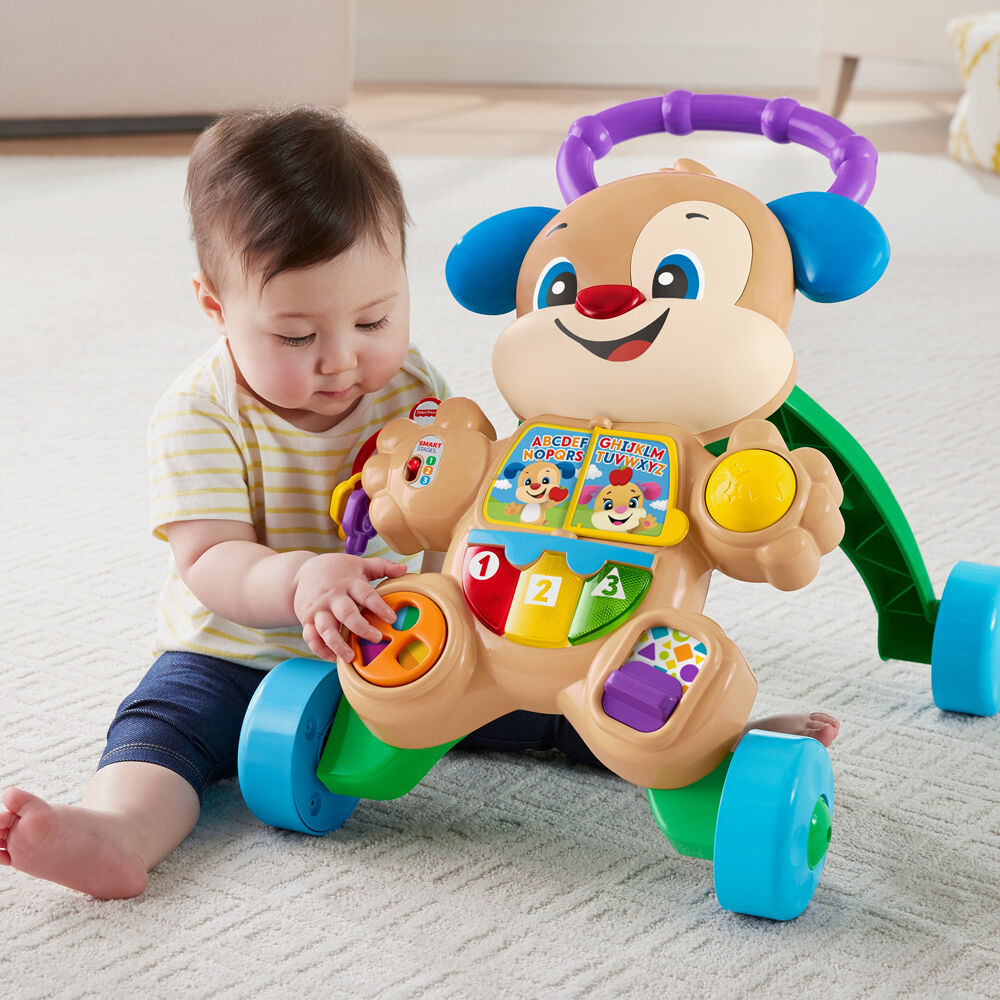 Mattel Fisher Price Laugh & Learn Walker 48x40cm - Assorted 6m+