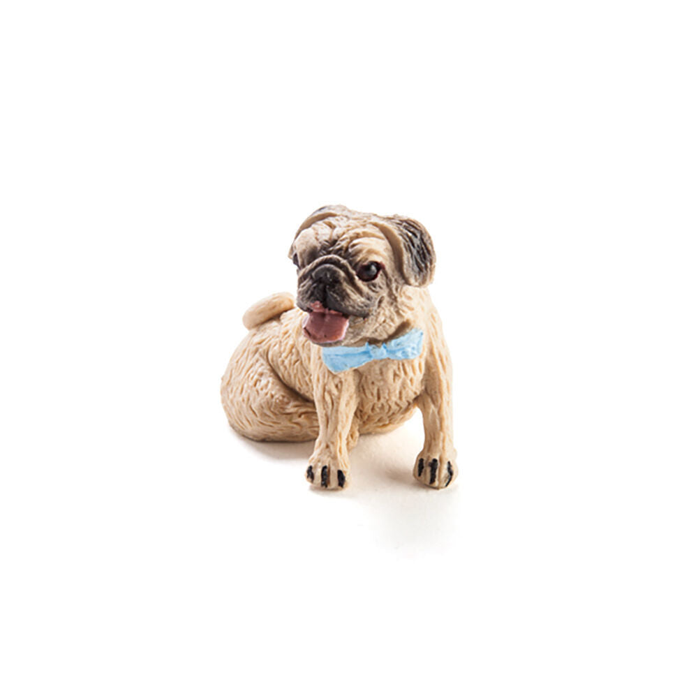 6PK PUG Grow a Pug Kids Activity Fun Play Interactive/Educational Toy