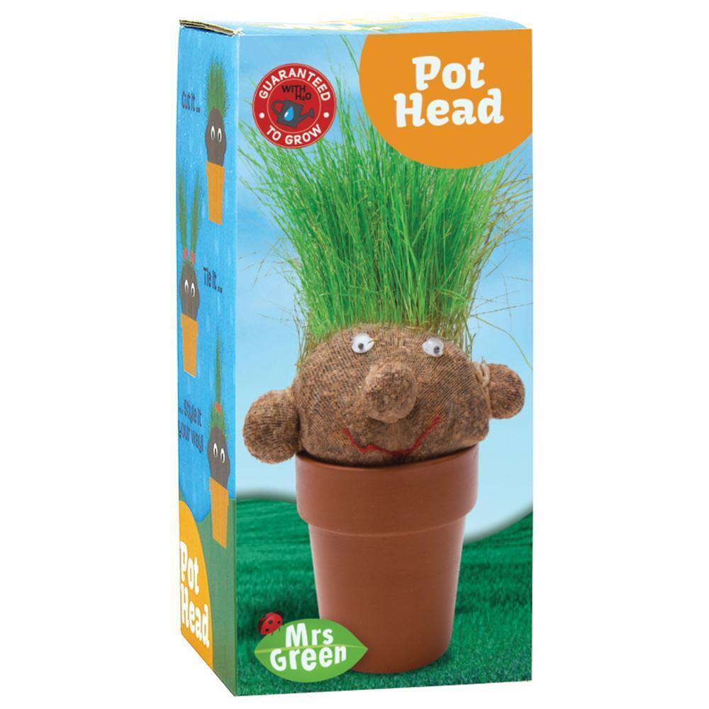 2PK Mrs Green Pot Head Kids/Children Grass Growing Plant
