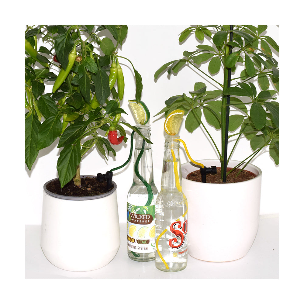 6PK Mayhem Funtech UK Lemon & Lime Wicked Waterer Plant Watering System Set