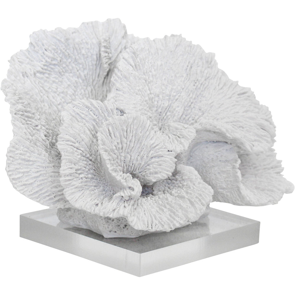 LVD Decorative Polyresin/Acrylic 21cm Fann Low Coral Home Decor - White