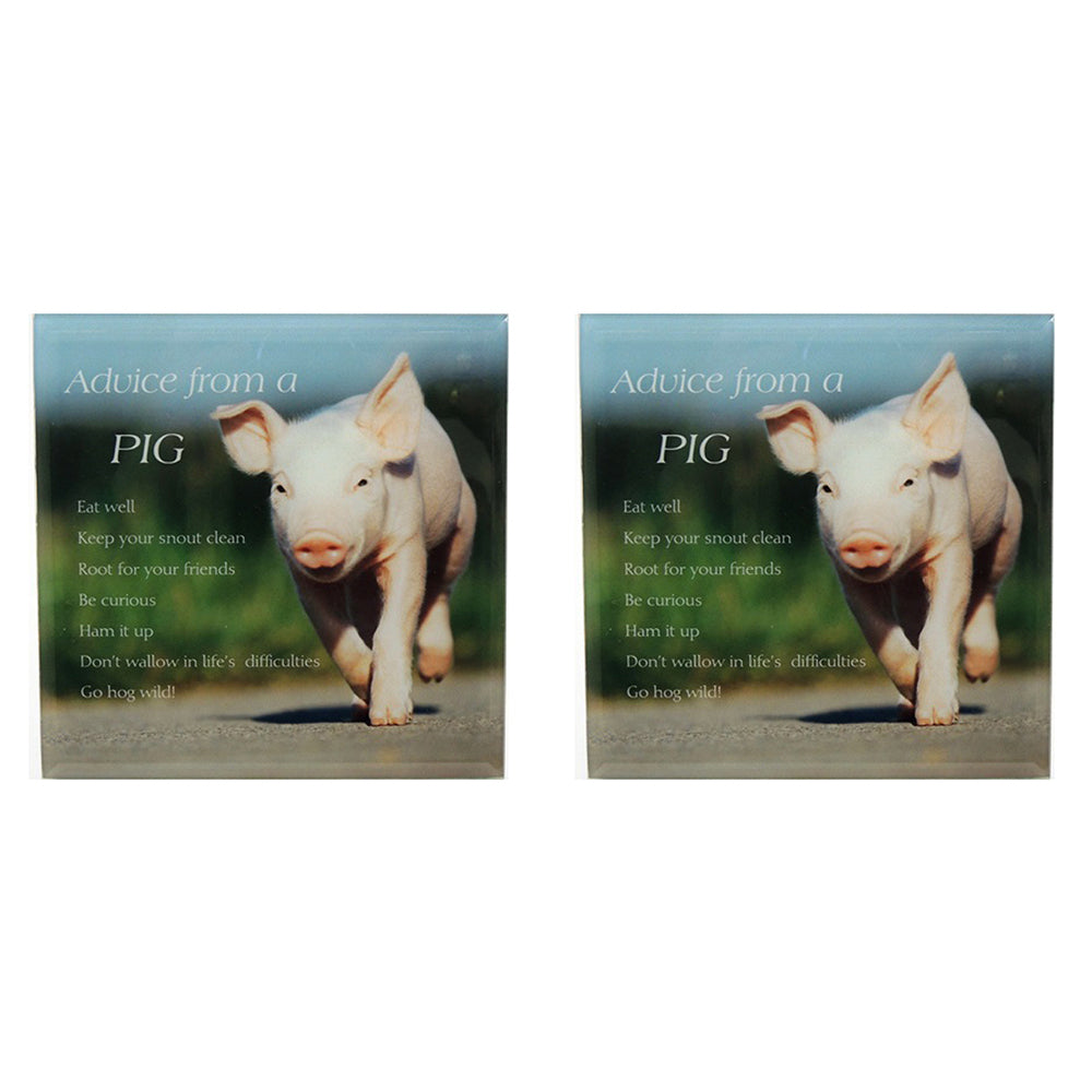 2PK Advice From A Pig Hanging Ceramic Sign Plaque 15cm Square