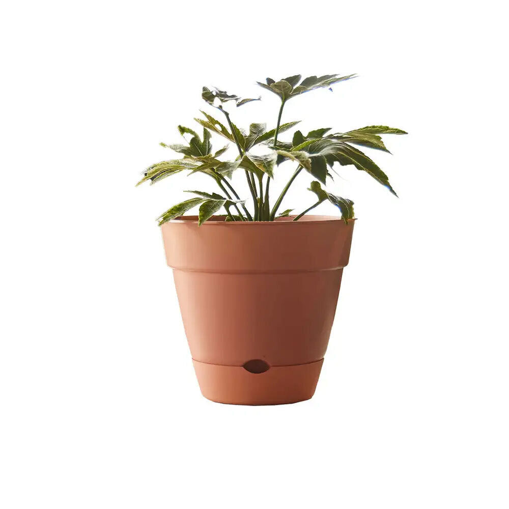 2PK Northcote Pottery Leonard 31x27cm Self Watering Brick