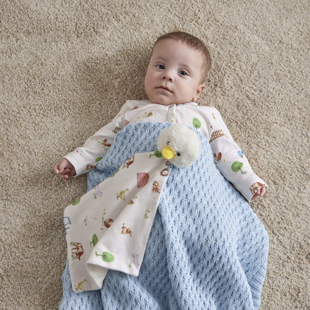 2pc Jiggle & Giggle Barnyard Babies Romper & Comforter Set Baby Clothing