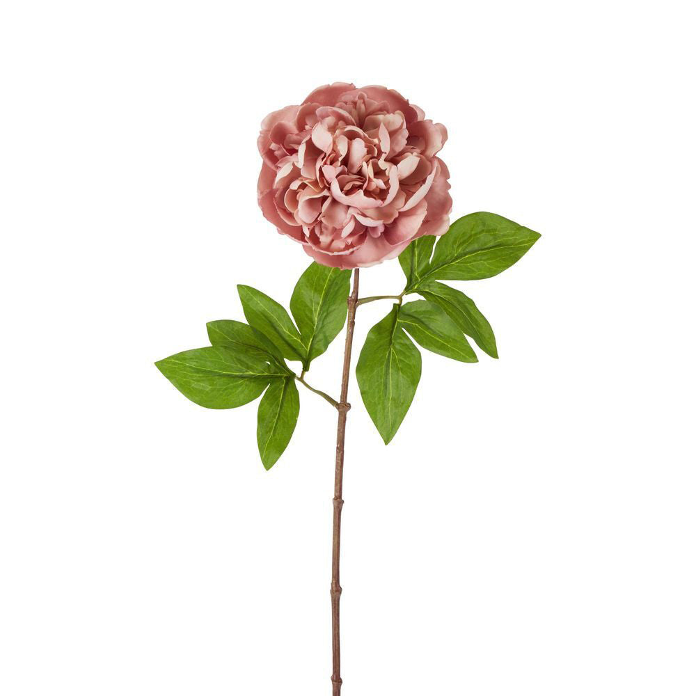 4PK Belle Dried Look Peony Stem Artificial Flower 61cm - Pink