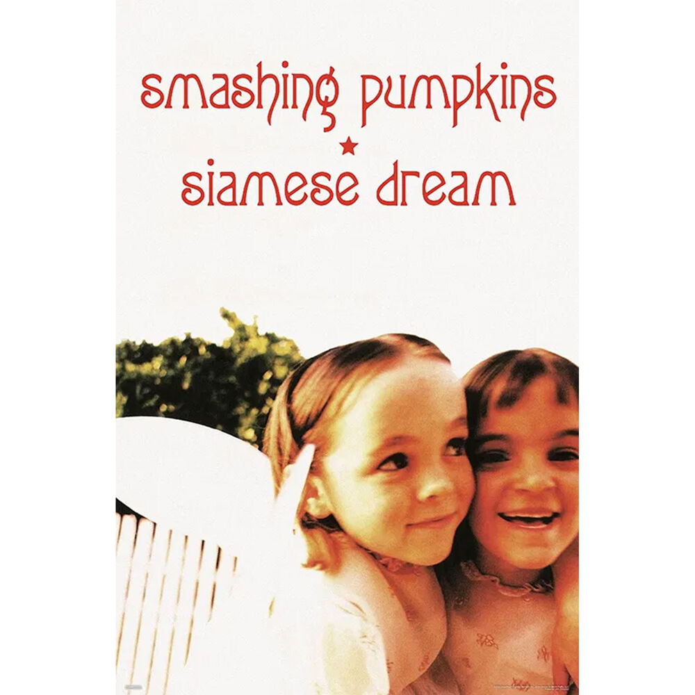 Music Smashing Pumpkins Siamese Dream Room Decoration Wall Art Poster