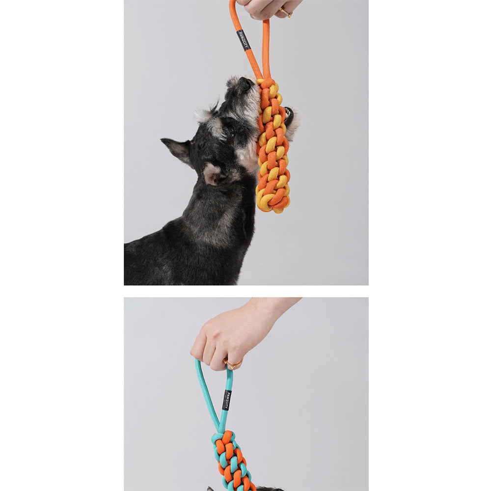 2PK Pawzcity Interactive Rope Stick With Loop - Rockmelon