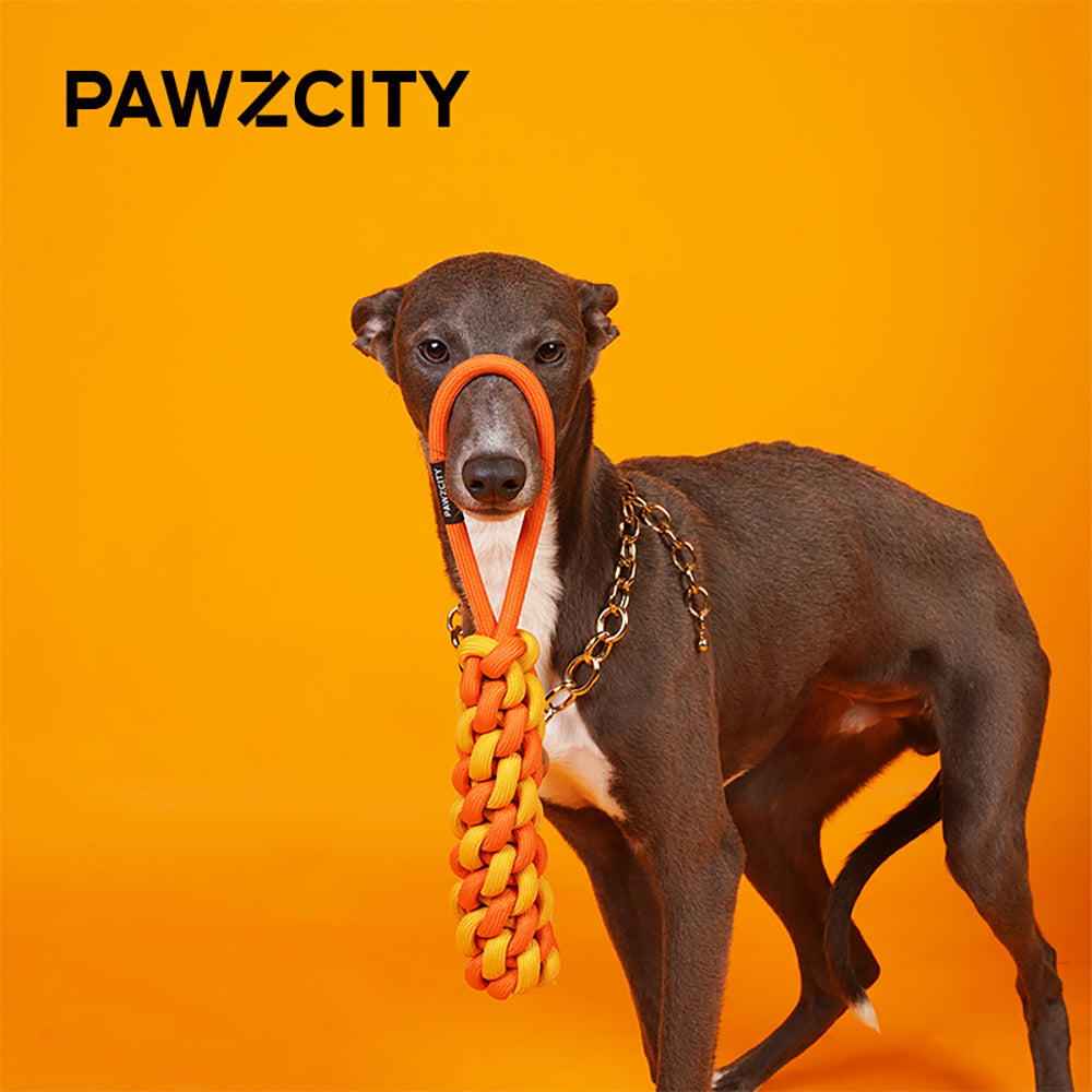 2PK Pawzcity Interactive Rope Stick With Loop - Rockmelon
