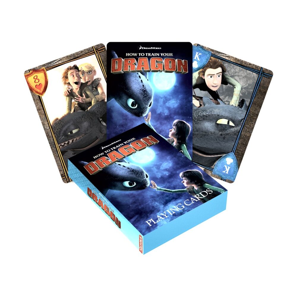 2PK Aquarius How To Train Your Dragon Playing Cards Deck Game Fun Gift