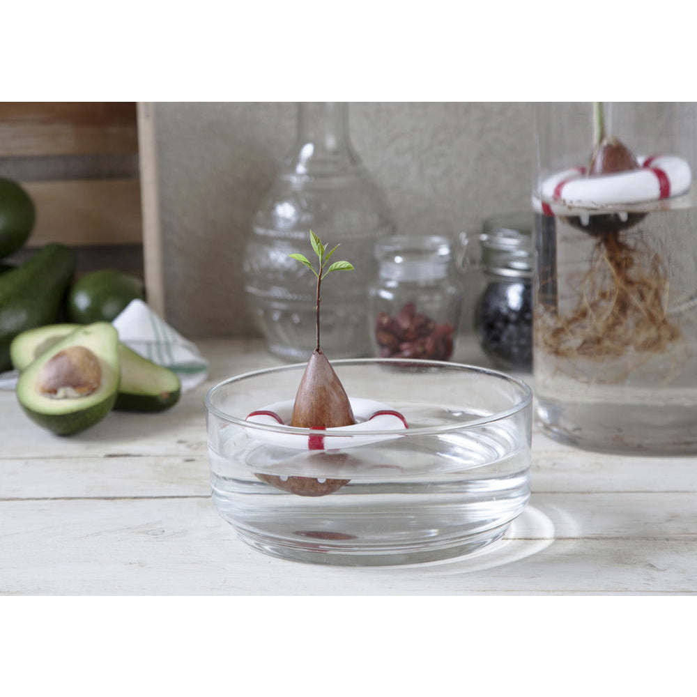 Pelegdesign Seed Guard Planter Buoy Seed Growing Device