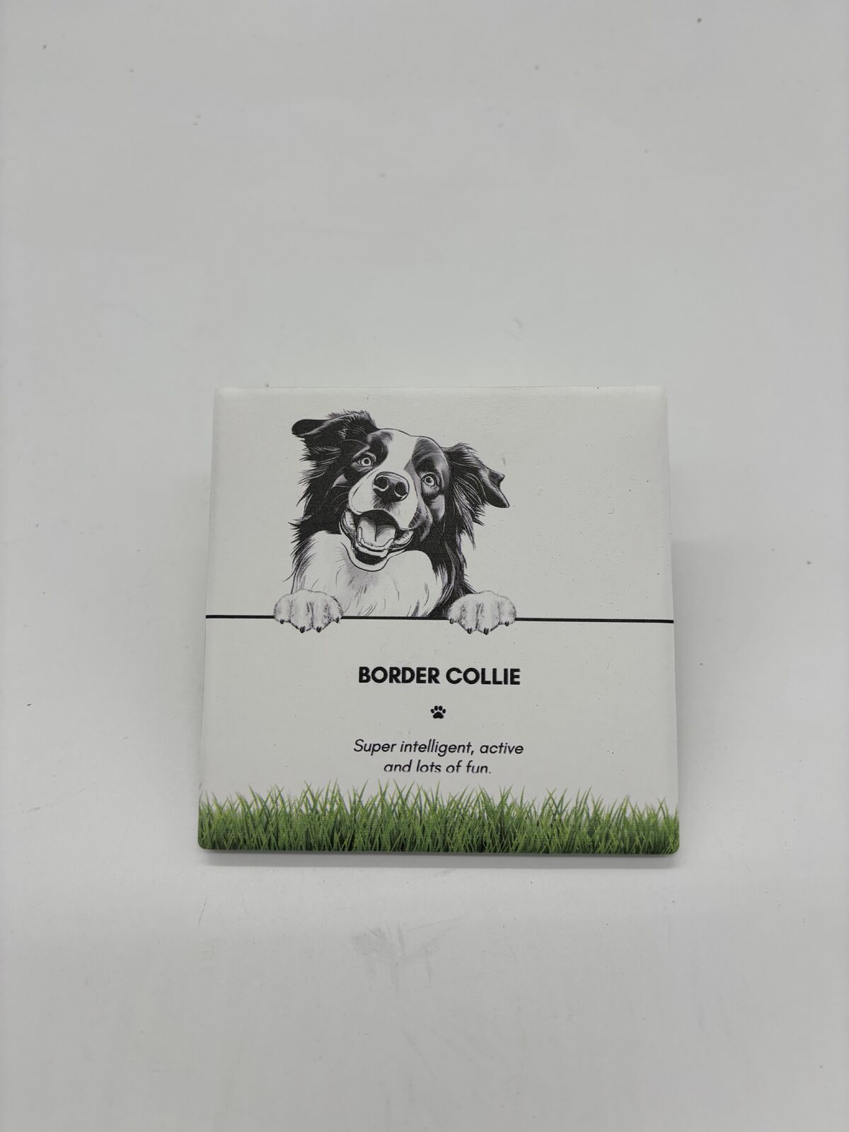 6PK Bramble Bay Pet Kitchen Coaster Border Collie Dog Lover Gift 11x11cm