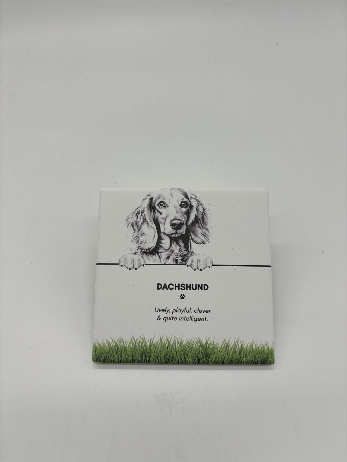 6PK Bramble Bay Pet Kitchen Coaster Dachshund Dog Lover Gift 11x11cm