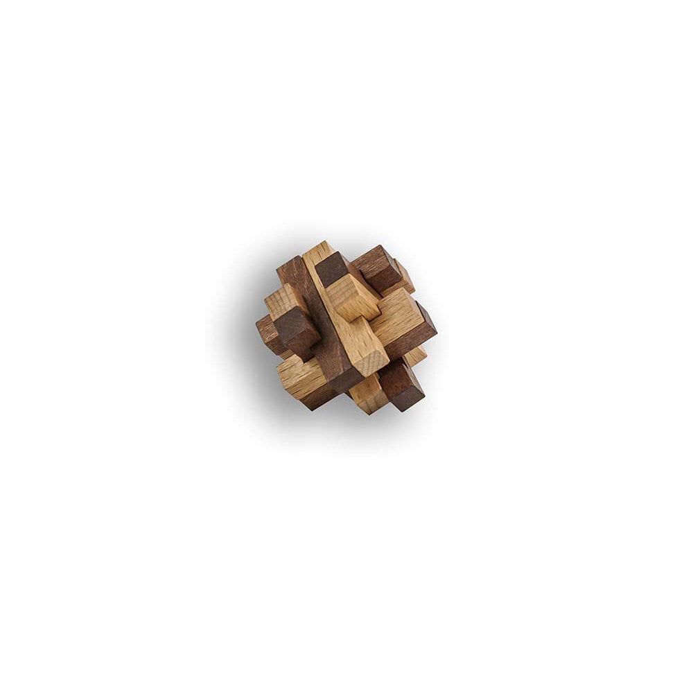 Project Genius Curated Collection Puzzle Solving Toy 14y+
