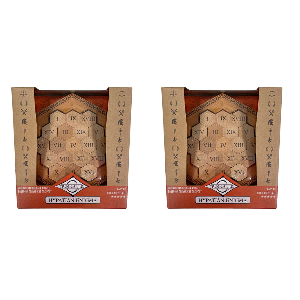 2PK Project Genius Hypatian Enigma Problem Solving Adult Puzzle 8+