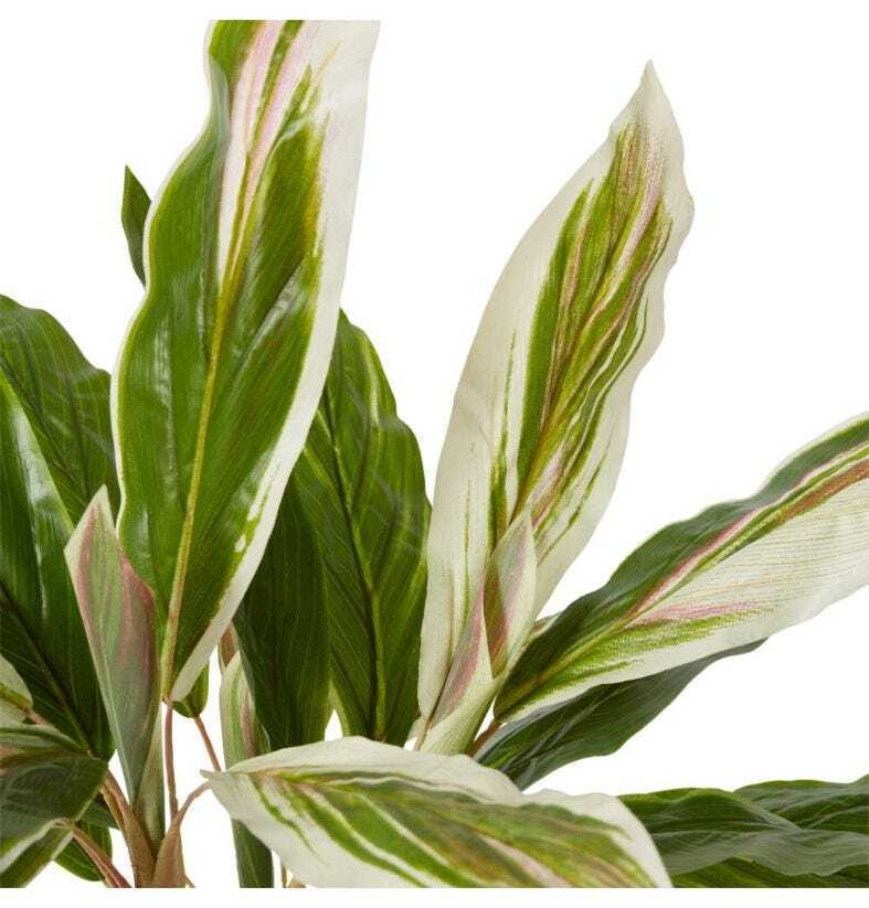 E Style 71cm Cordyline Potted Artificial Plant Decor - Green/Pink