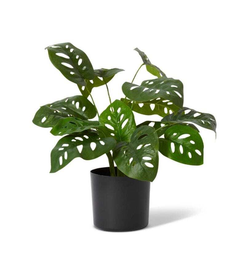 E Style 50cm Swiss Cheese Artificial Potted Plant - Green