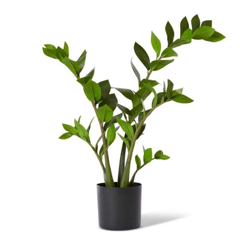 E Style 70cm Zanzibar Potted Artificial Plant Decor - Green