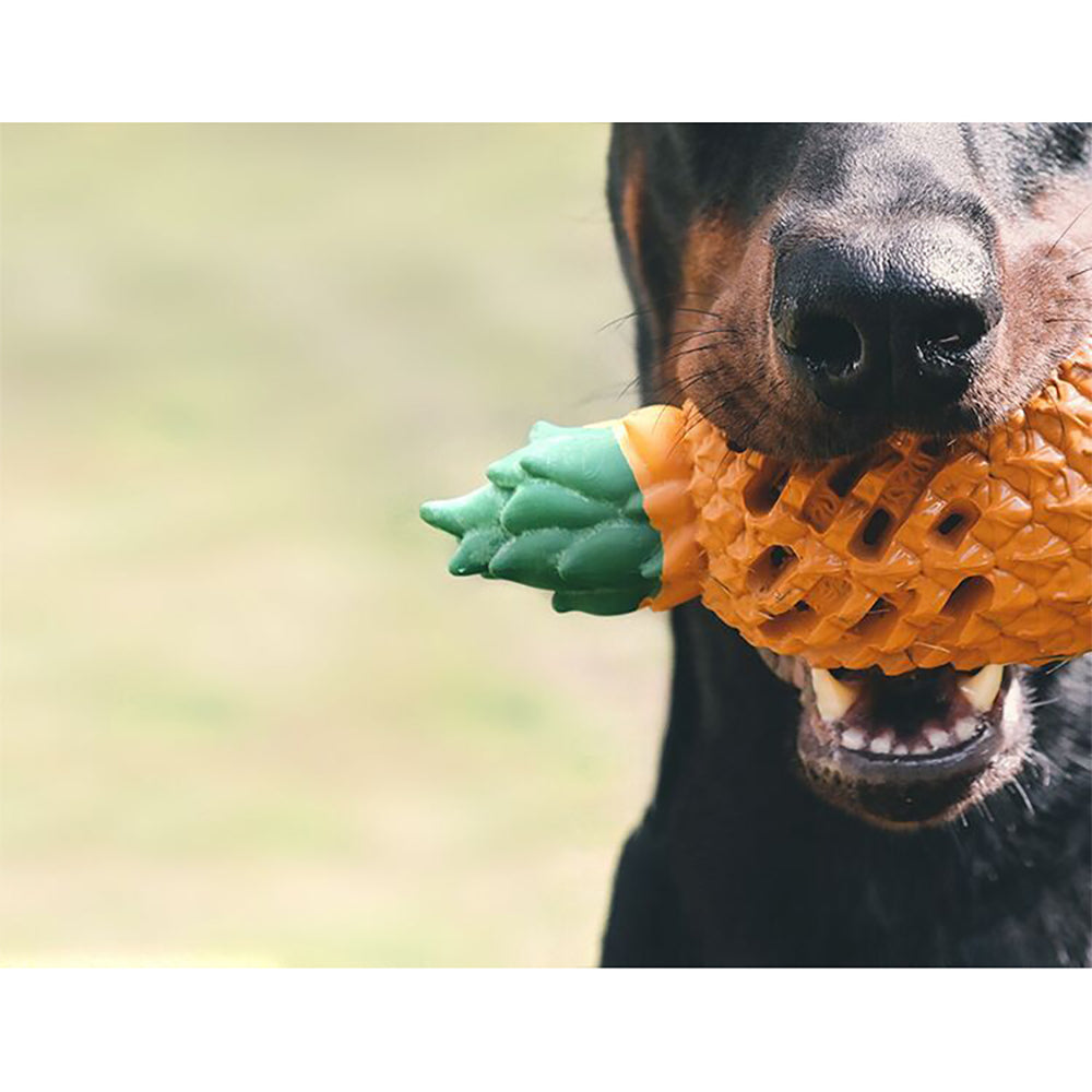 Petopia Ultra Tough 18cm Rubber Pawsome Pineapple Dog Toy Large - Orange