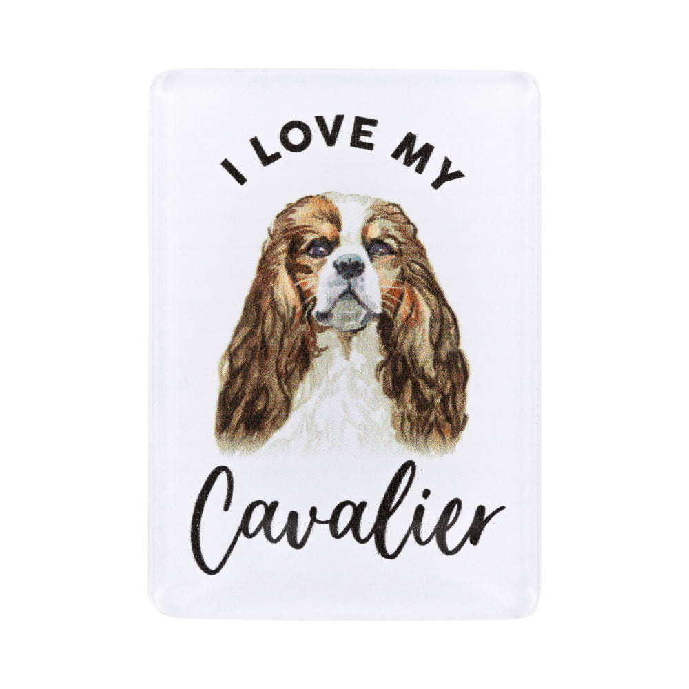 6PK Splosh Pet Lovers Cavalier Acrylic Magnet Decor 7x5cm