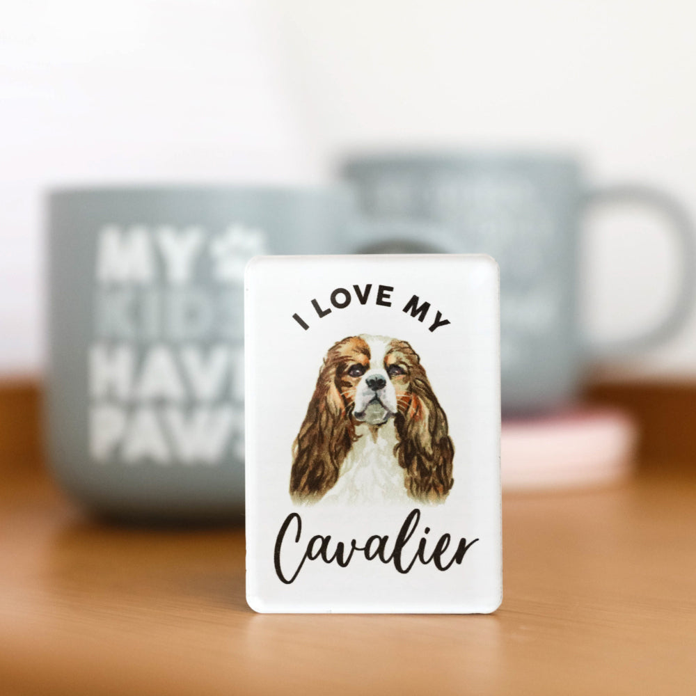 6PK Splosh Pet Lovers Cavalier Acrylic Magnet Decor 7x5cm