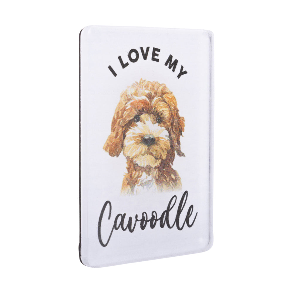 6PK Splosh Pet Lovers Cavoodle Acrylic Magnet Decor 7x5cm