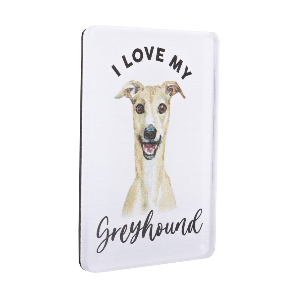 6PK Splosh Pet Lovers Greyhound Acrylic Magnet Decor 7x5cm