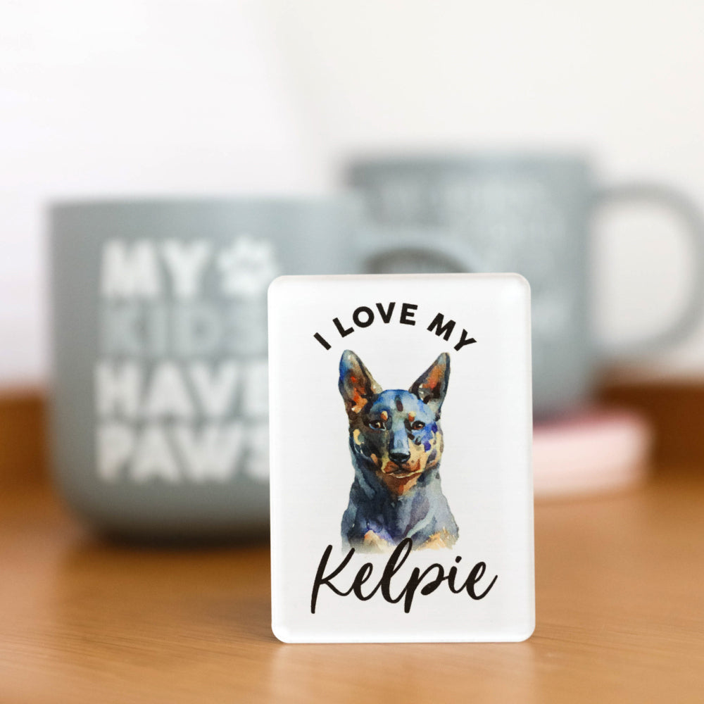 6PK Splosh Pet Lovers Kelpie 7cm Acrylic Magnet Fridge Decor - White