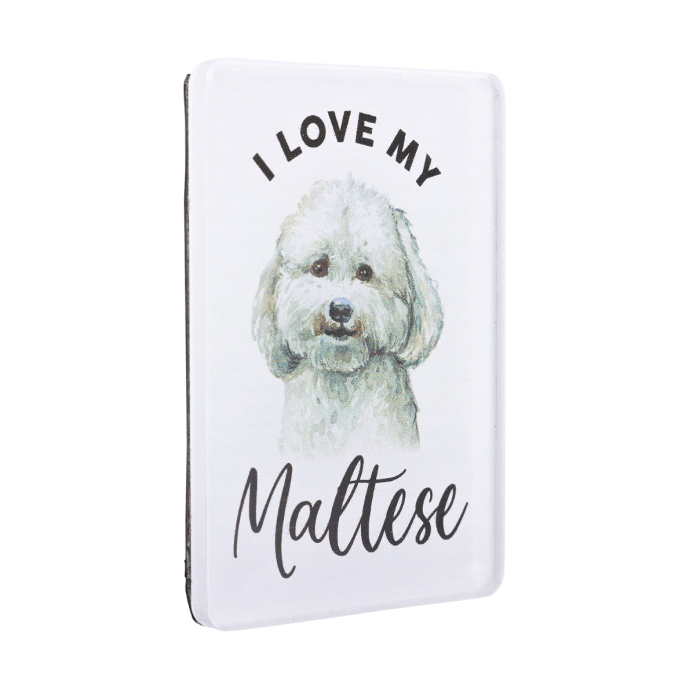6PK Splosh Pet Lovers Maltese 7cm Acrylic Magnet Fridge Decor - White