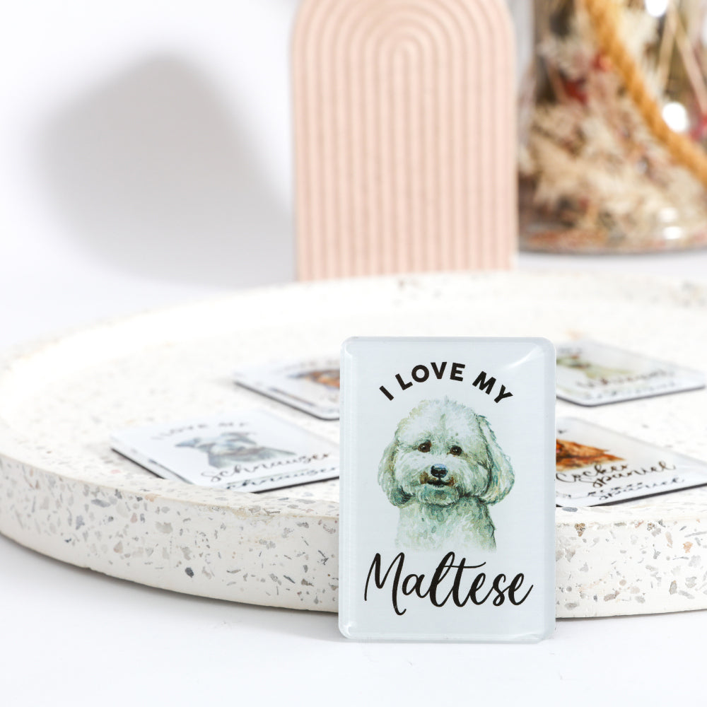 6PK Splosh Pet Lovers Maltese 7cm Acrylic Magnet Fridge Decor - White