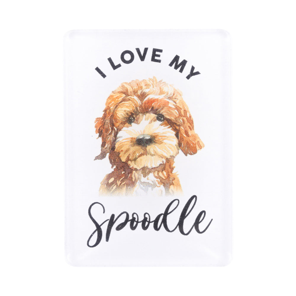 6PK Splosh Pet Lovers Spoodle 7cm Acrylic Magnet Fridge Decor - White