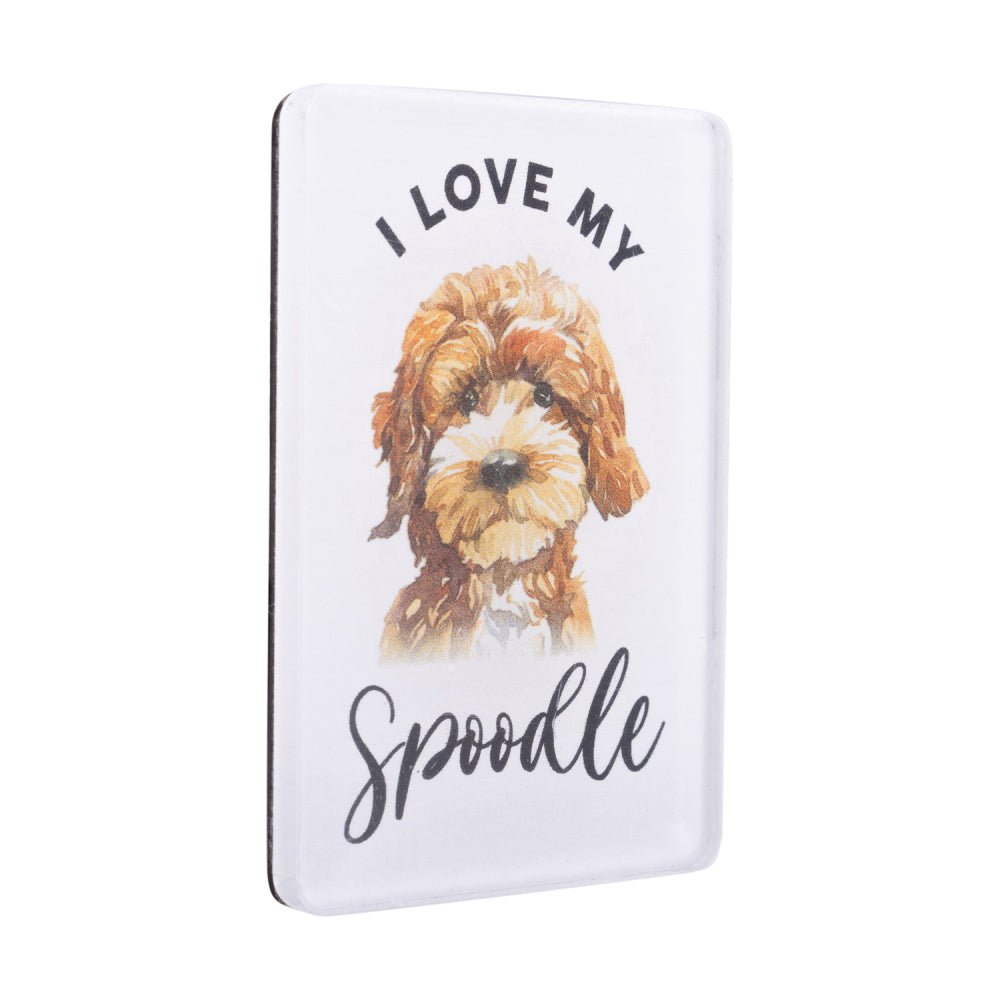 6PK Splosh Pet Lovers Spoodle 7cm Acrylic Magnet Fridge Decor - White