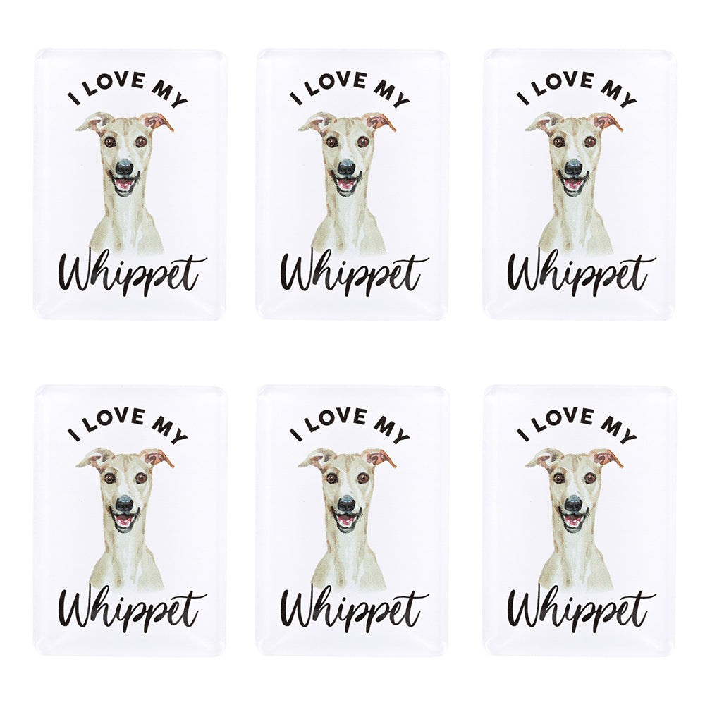 6PK Splosh Pet Lovers Whippet 7cm Acrylic Magnet Fridge Decor - White