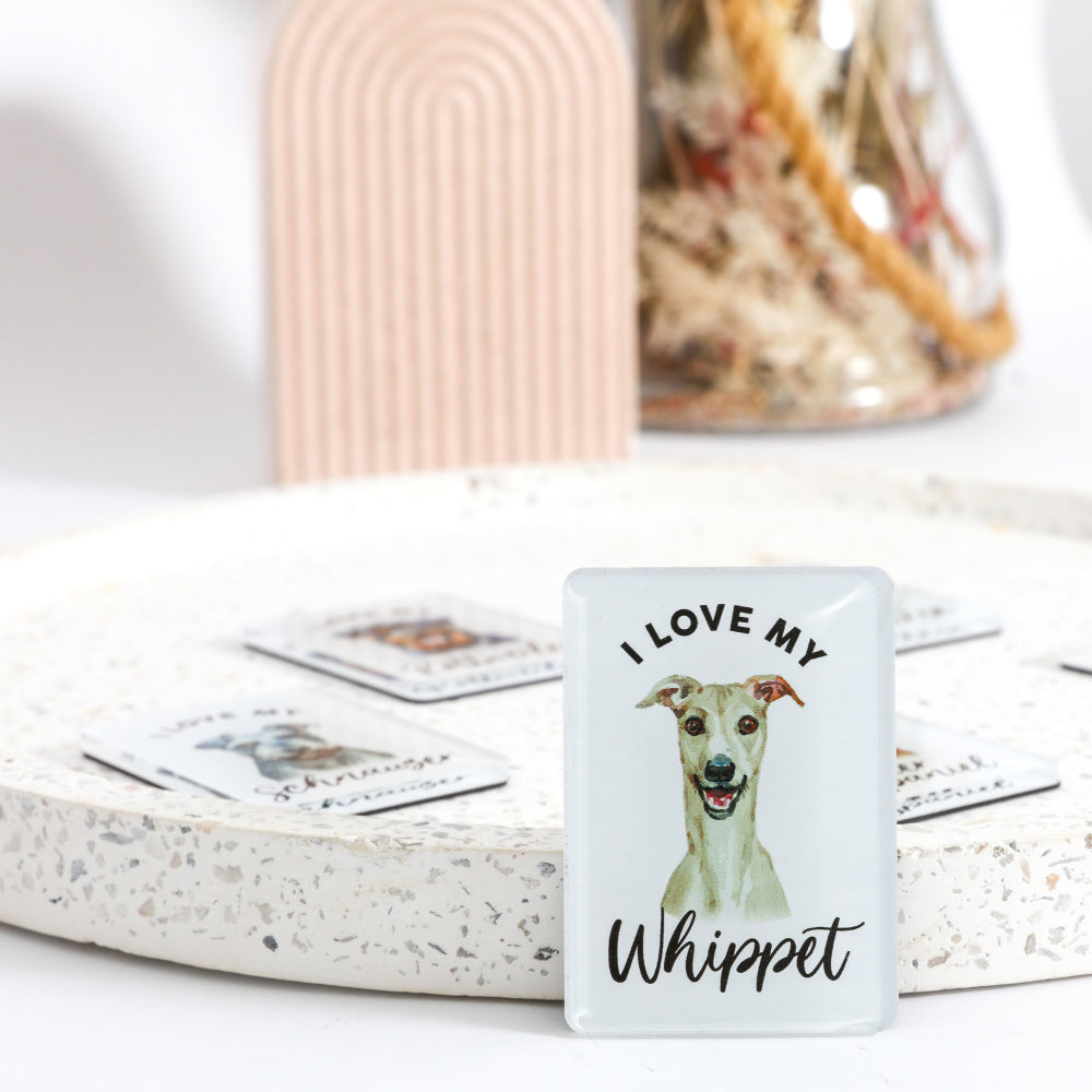 6PK Splosh Pet Lovers Whippet 7cm Acrylic Magnet Fridge Decor - White